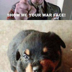 Show Me Your War Face