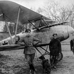 WWI German air ace Heinrich Gontermann with Albatros-Flugzeugwerke D.III