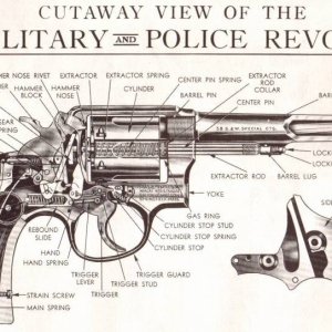 Cutaway Smith & Wesson .38sp Military & Police