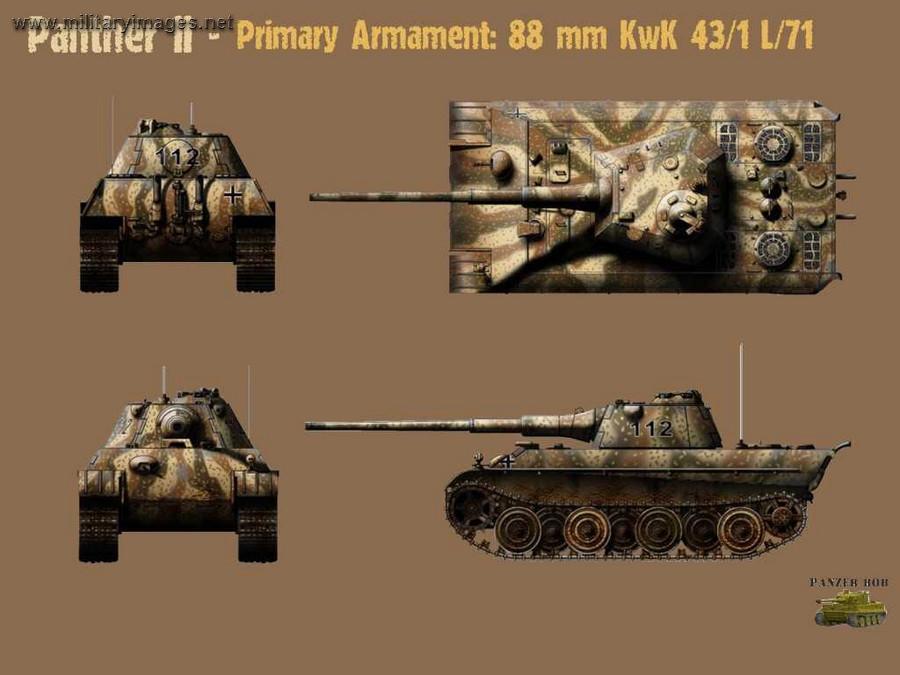 Panther II What If 3D