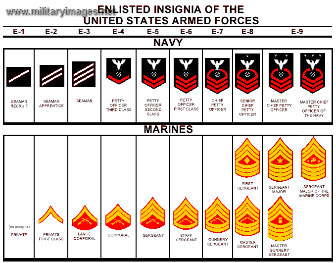 US Navy Enlisted Ranks Military Photo Website