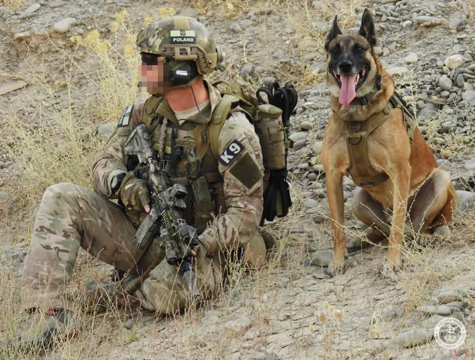 Photos - Pictures of Dogs in the Military & Police (K9) | Page 29 | A ...