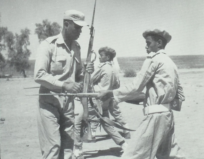 1960snorthyemen.webp