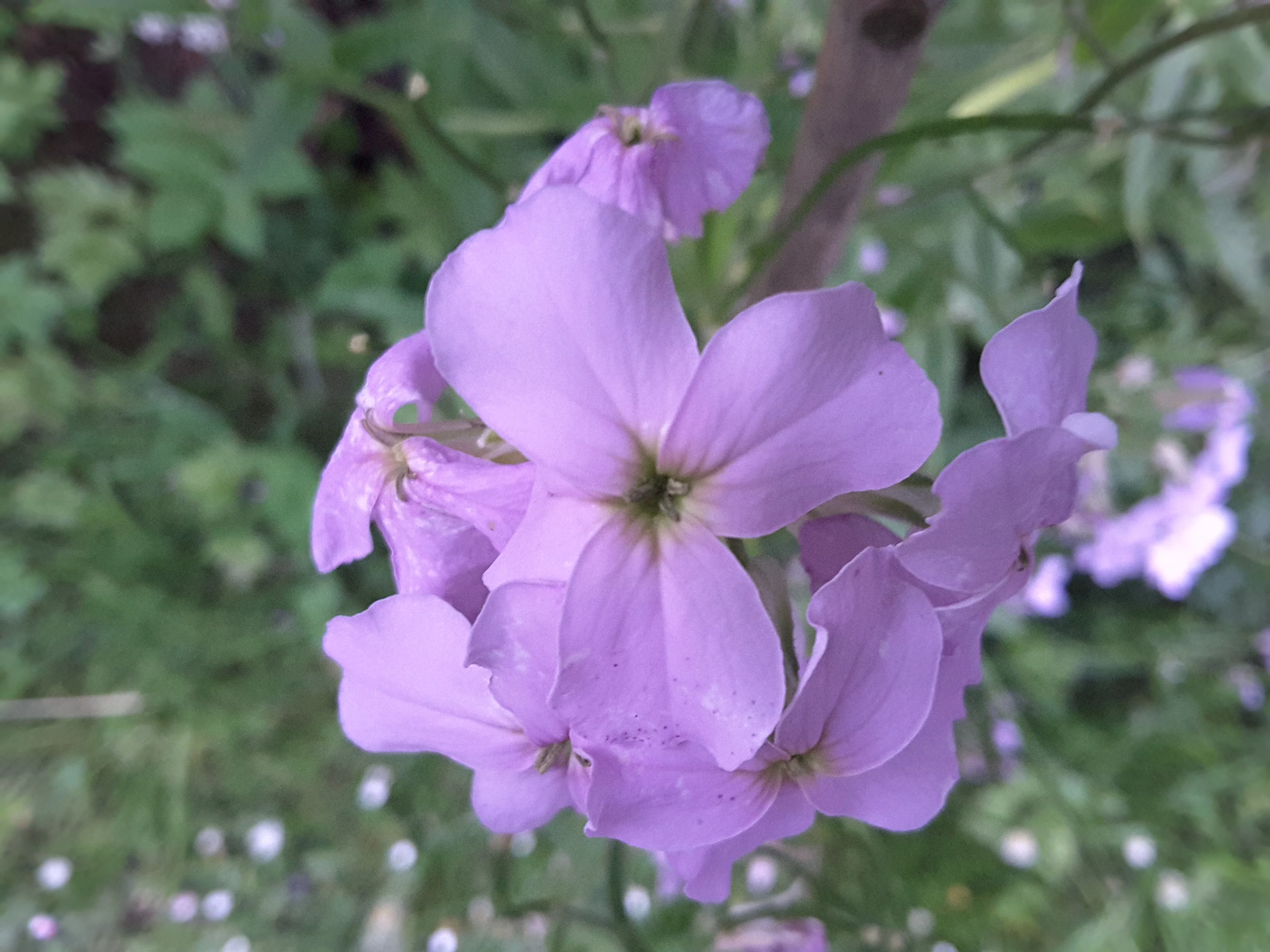 20190623_213716.webp