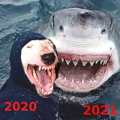 20202021.webp