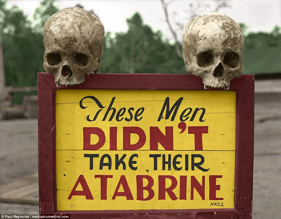 4772115D00000578-5194087-Two_skulls_rested_on_top_of_a_warning_sign_at_the_US_Army_s_363r-a-1...webp