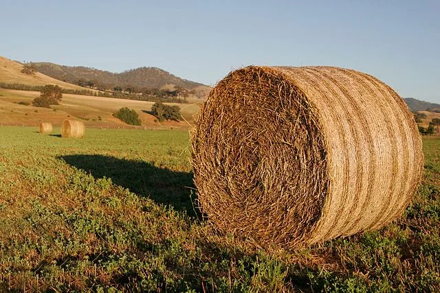 640px-Round_hay_bale_at_dawn02.jpg