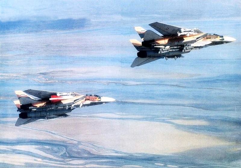 800px-Irani_F-14_Tomcats_carrying_AIM-54_Phoenixs.jpg