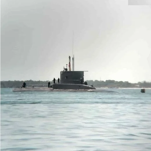 ARC-PIJAO-SUBMARINO.webp