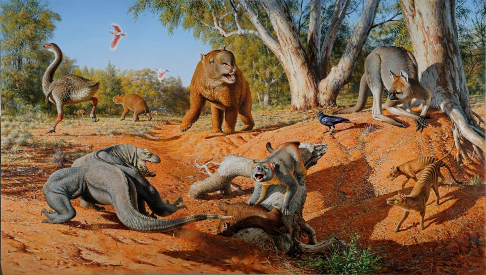 australia-megafauna.jpg