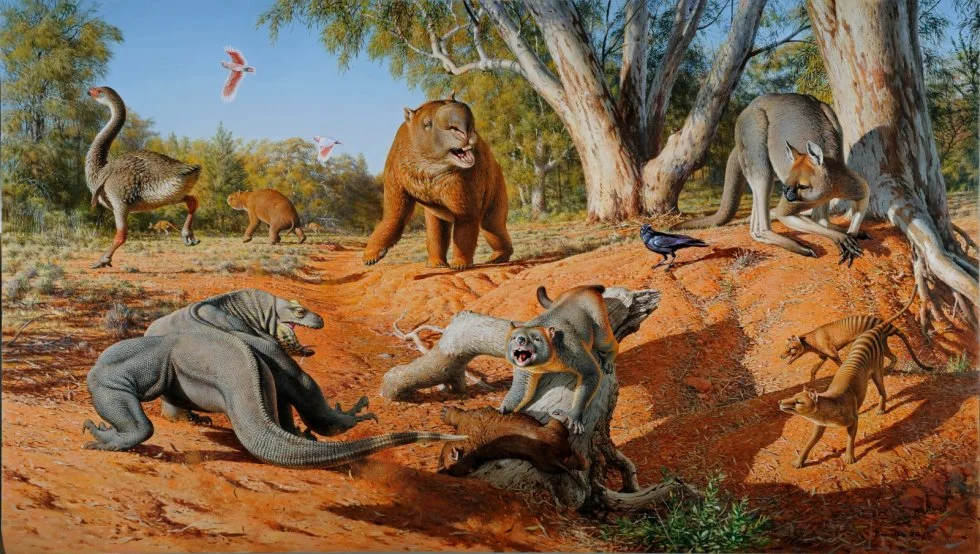 australia-megafauna.webp