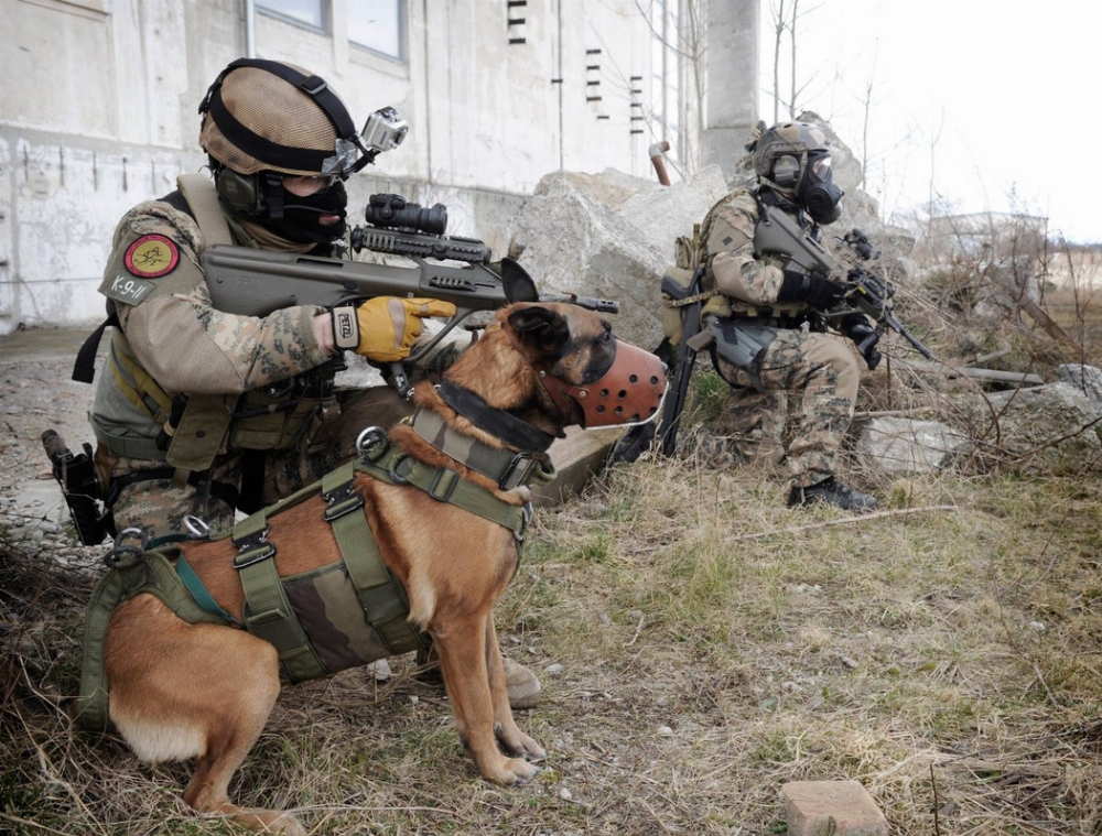 Photos - Pictures of Dogs in the Military & Police (K9) | Page 30 | A ...