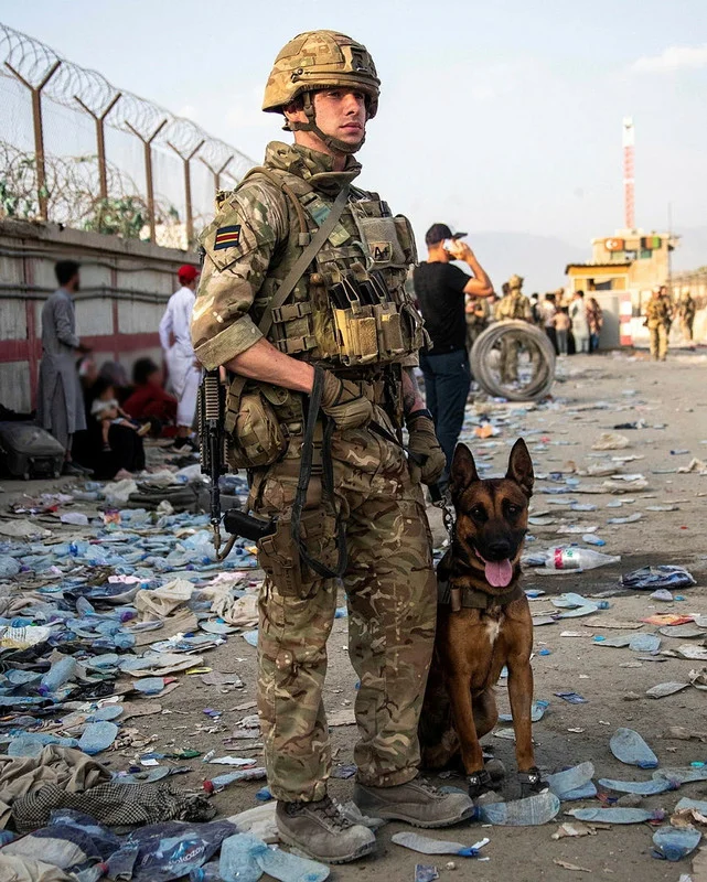 British-K9-Kabul2021.webp