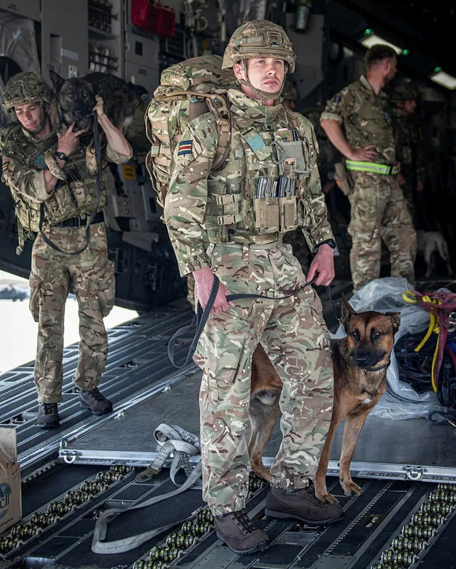 British-K9-Kabul2021a1.webp