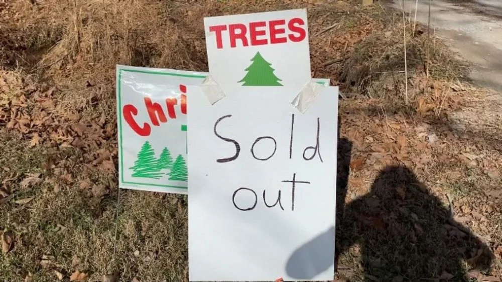ChristmasTreeShortage3.webp