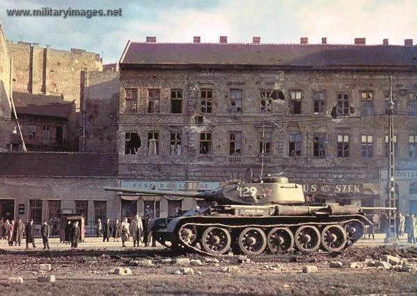 cold-t-44-tank-hungary-1956_imagesia-com_dzib_large.webp