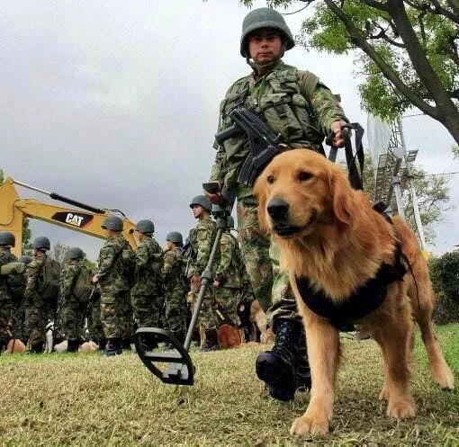 Colombia-K9-A1.webp