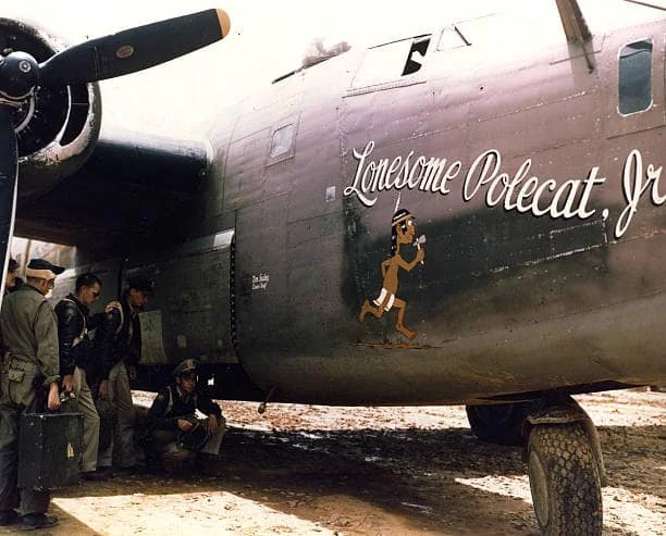 dated-B-24-Liberator-nicknamed-Lonesome-Polecat-Jr.webp