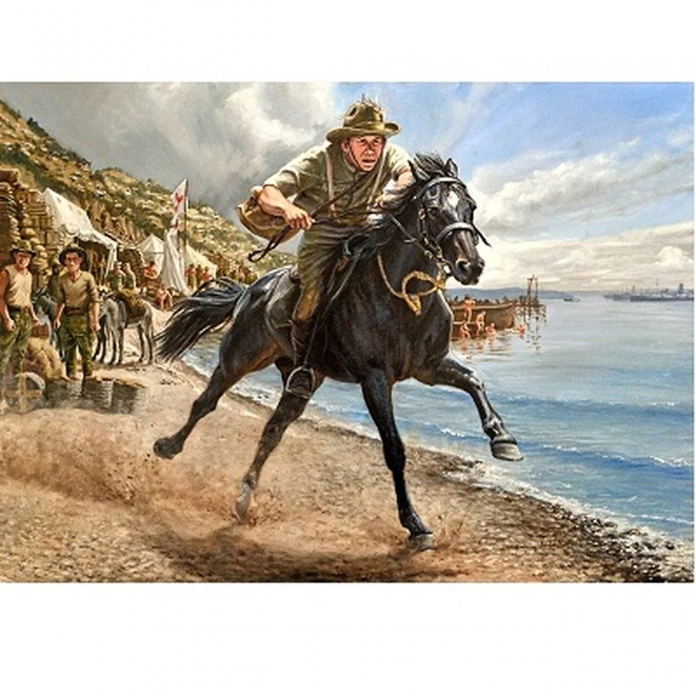 Despatch Rider Gallipoli.webp