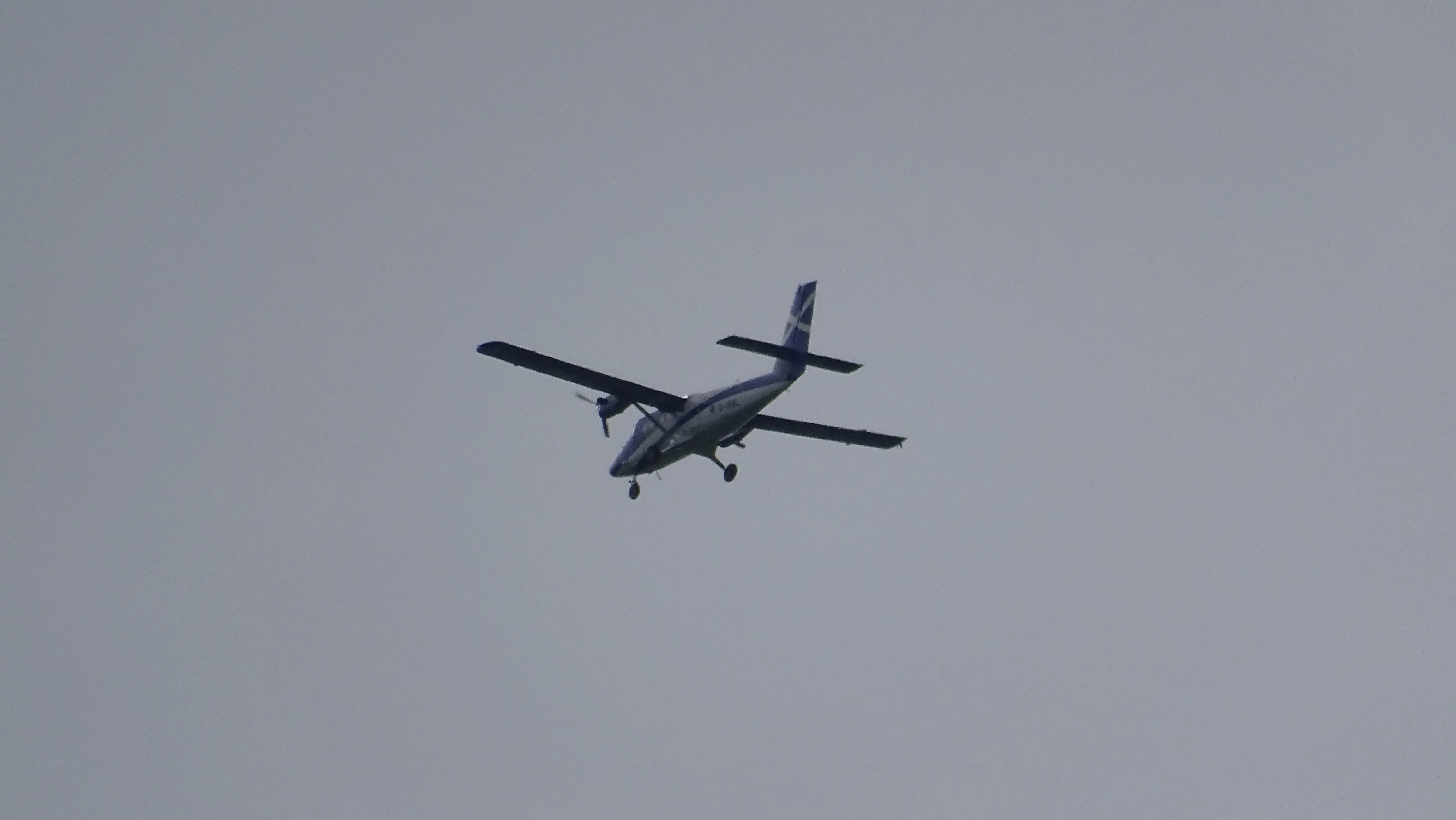 DSC00282.webp