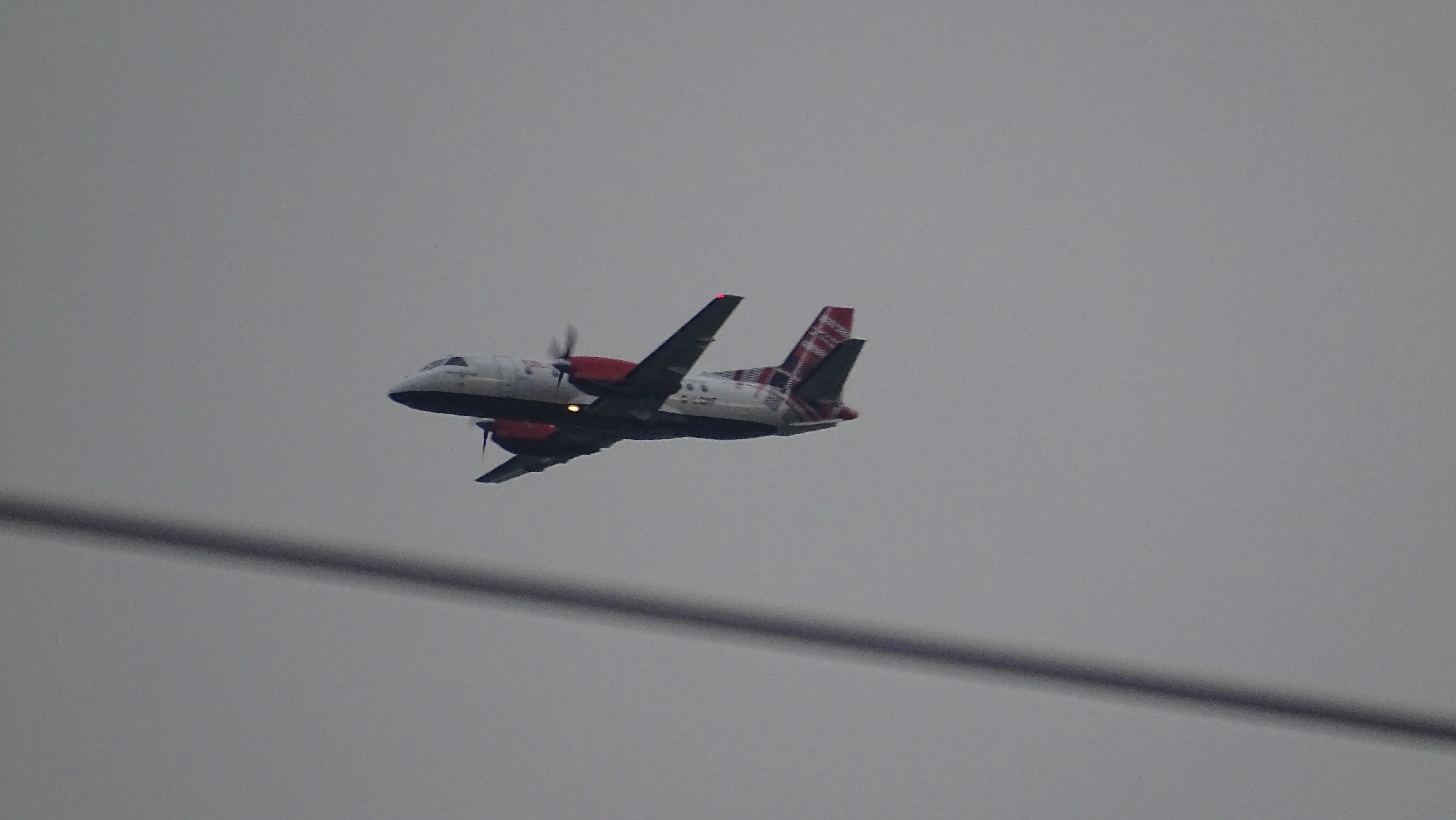 DSC00370.webp