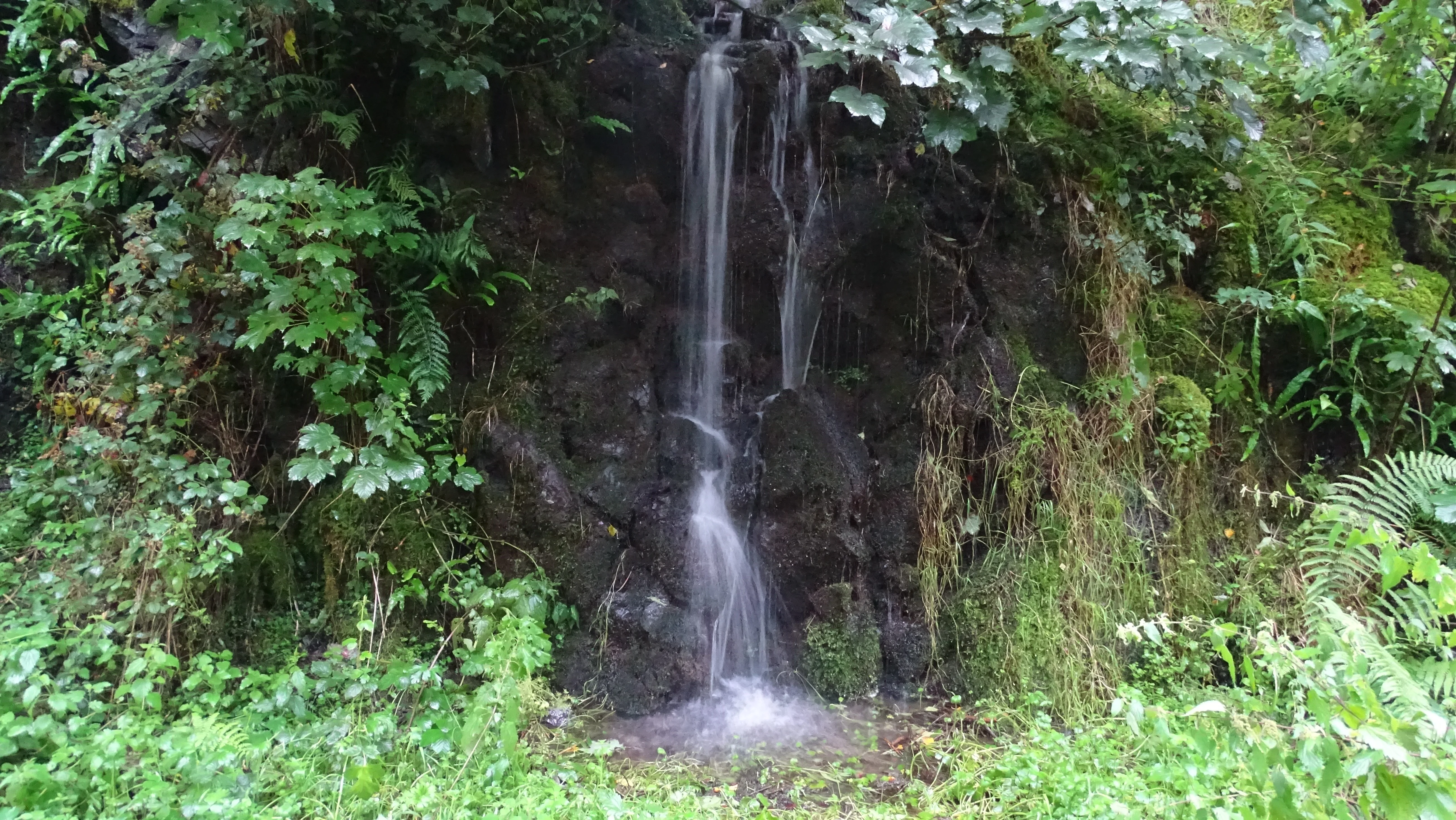 DSC00389.webp