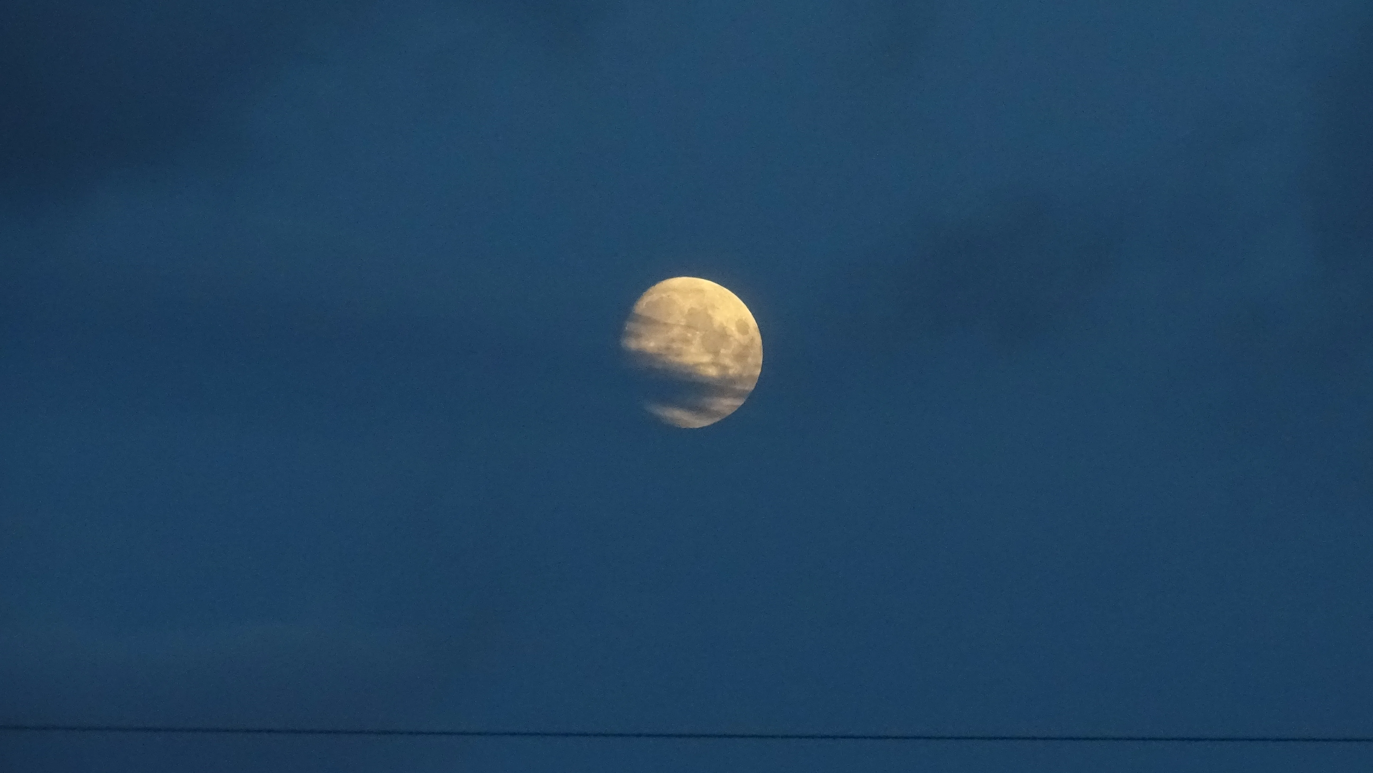 DSC00606.webp
