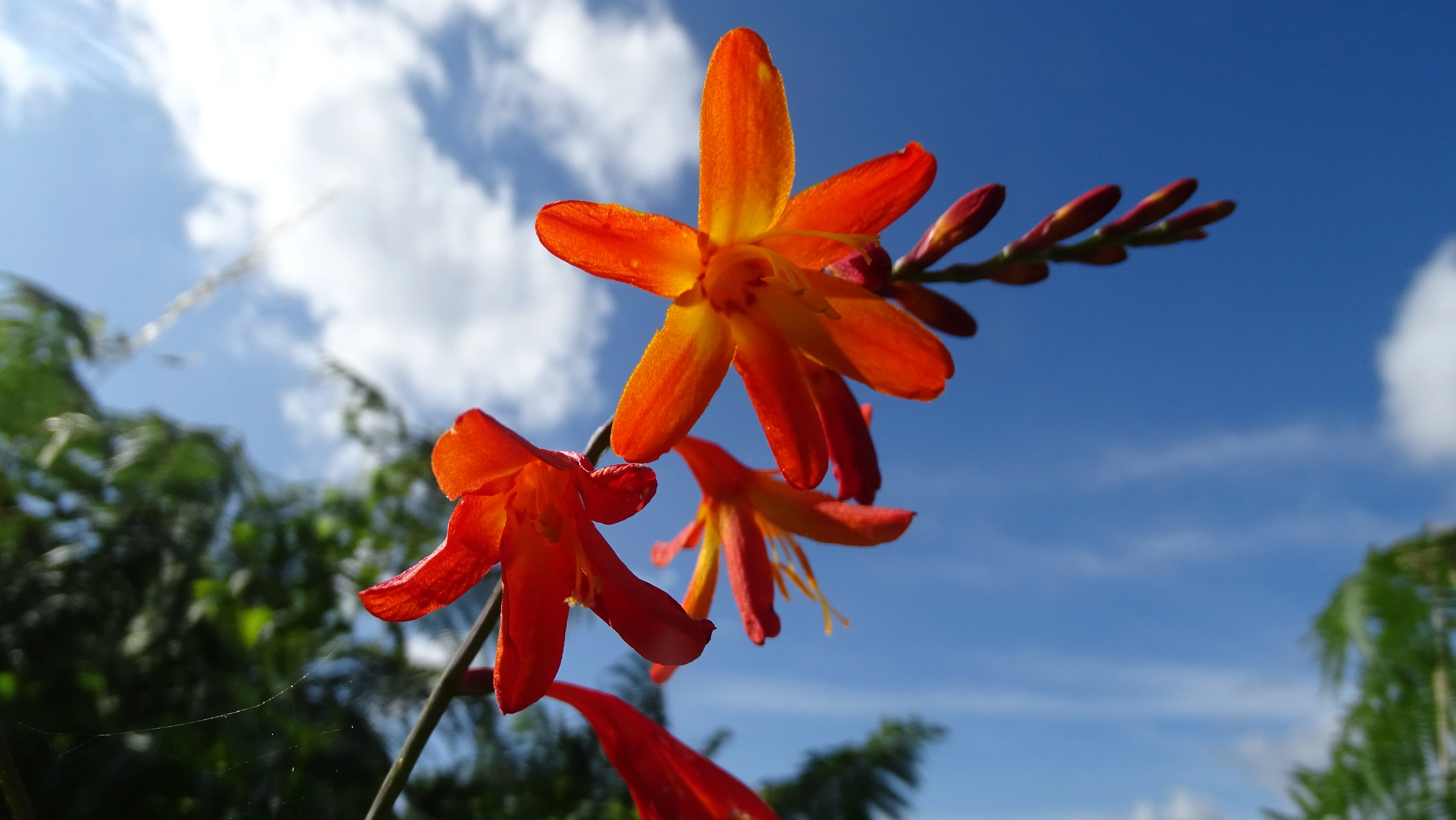 DSC00849.webp
