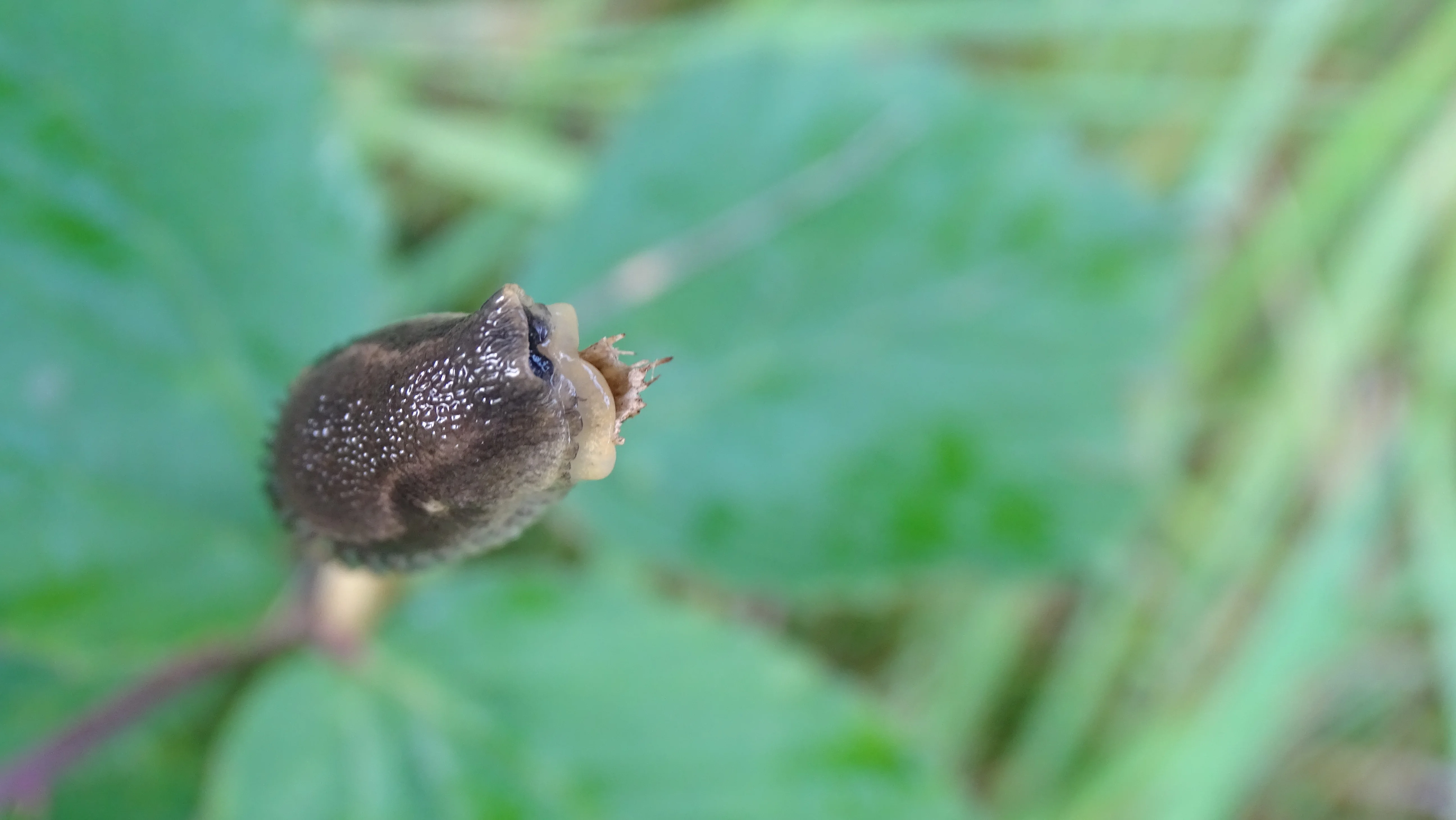 DSC01029.webp