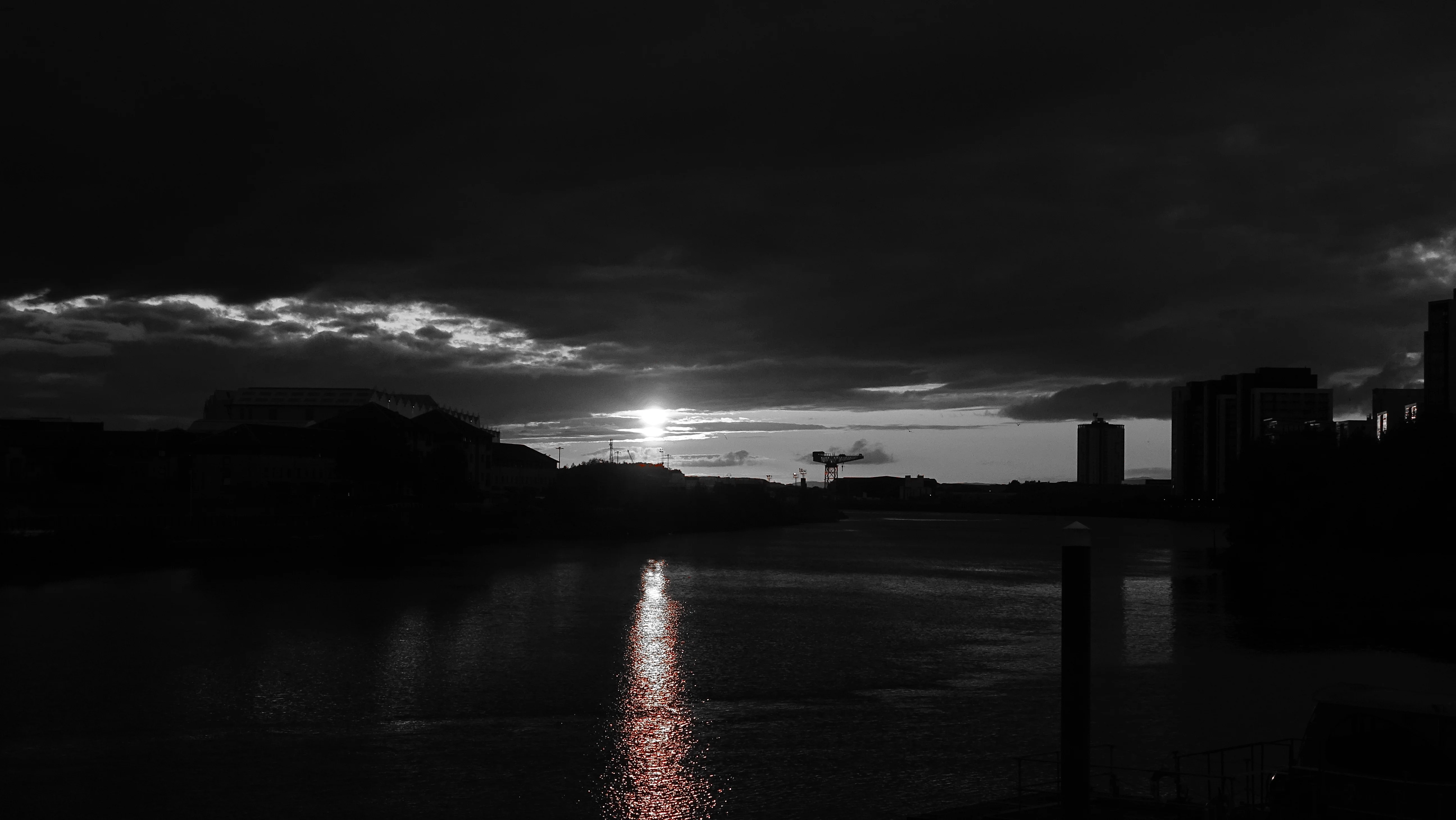 DSC01646.webp