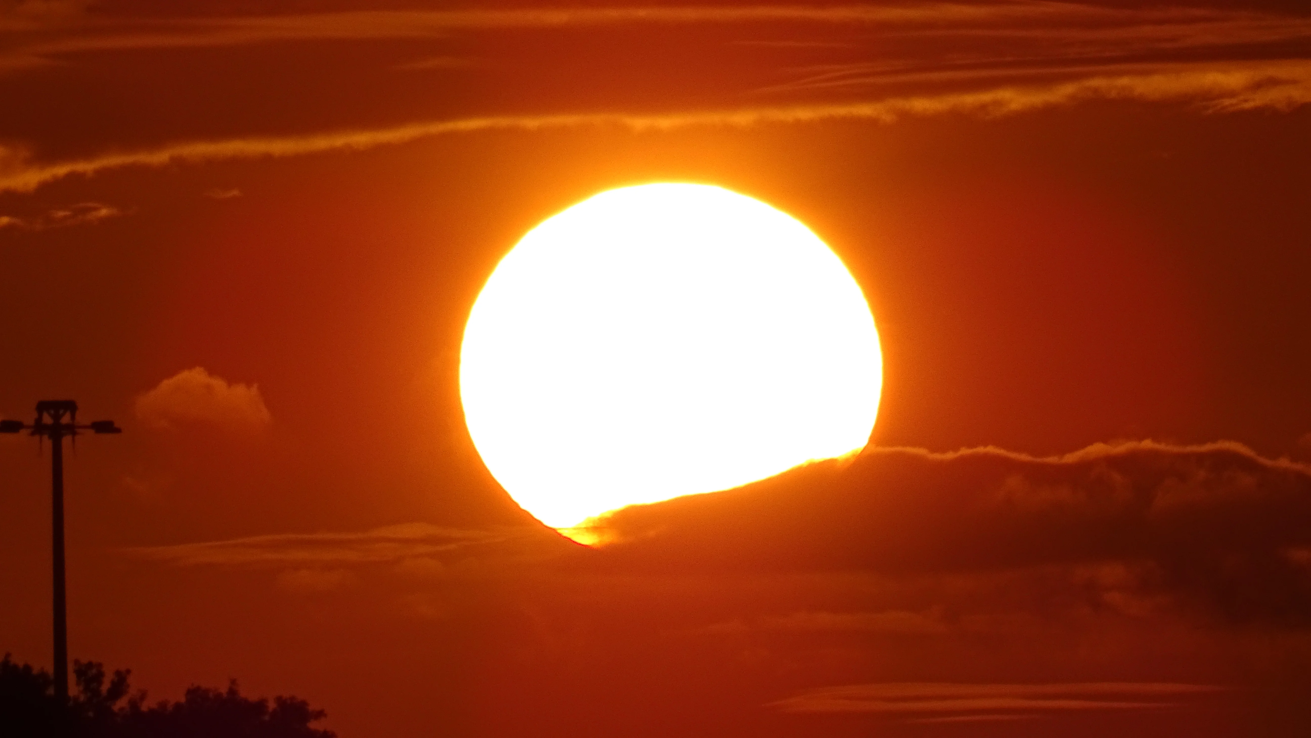 DSC01657.webp