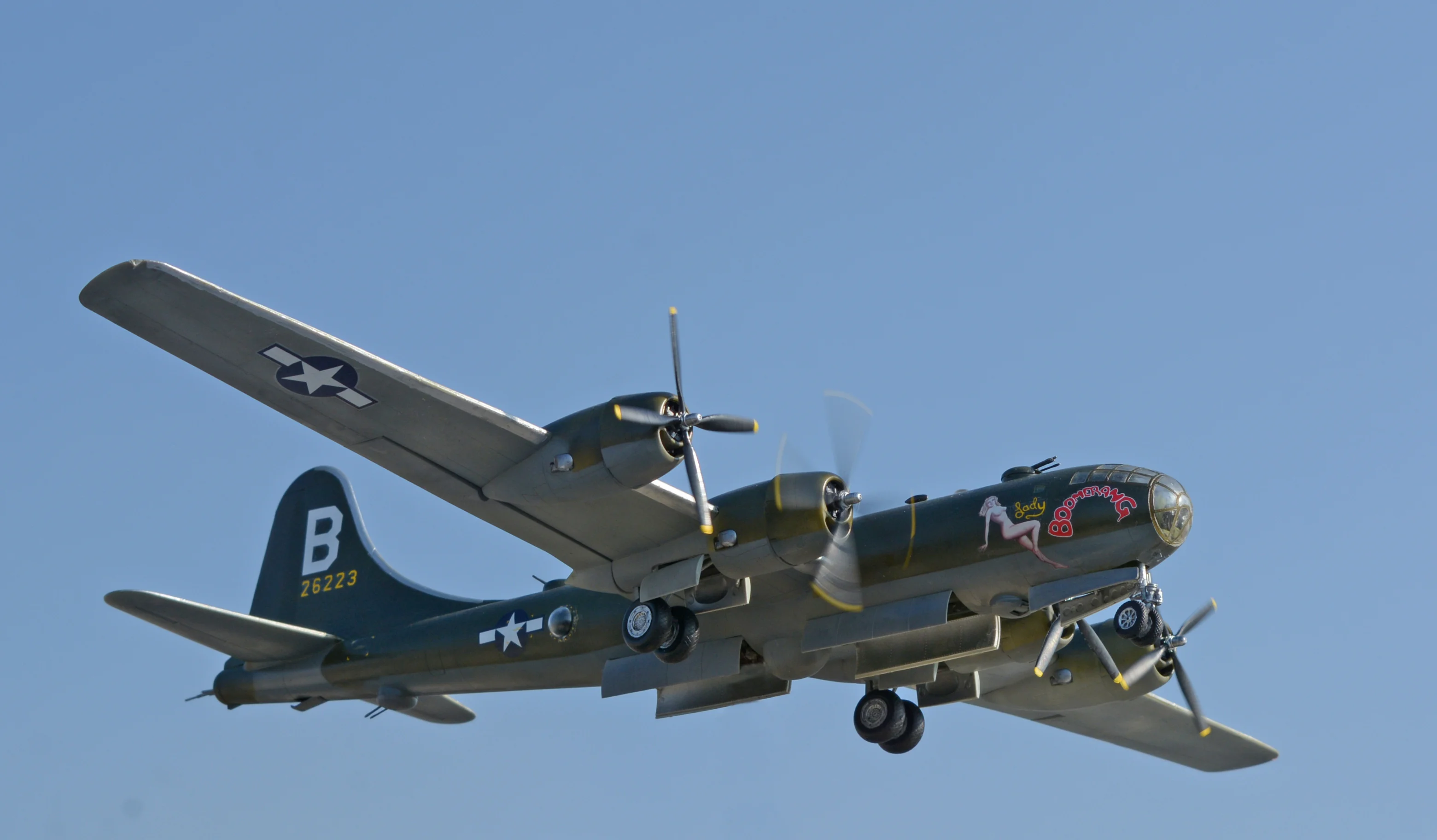DSC_8489.webp