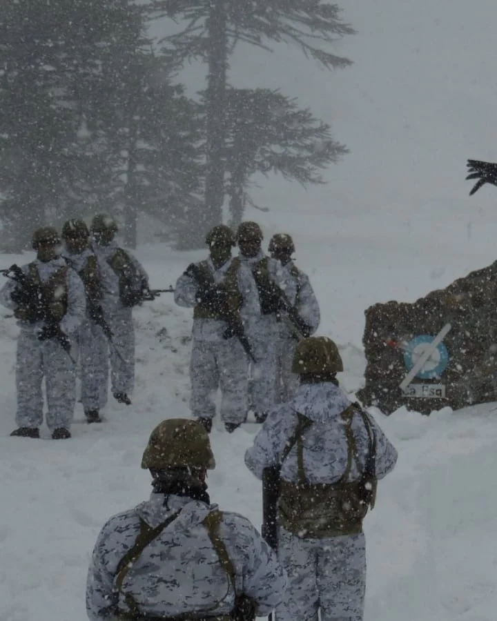 EJÉRCITO ARGENTINO EA on Instagram_ _Nada los detiene_ a la Compañía de Cazadores de Montaña ...webp