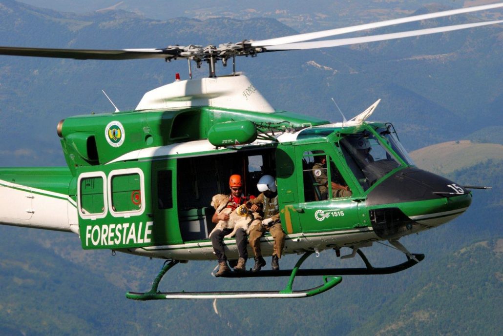 elicotteri-forestale-1-1030x689.jpg