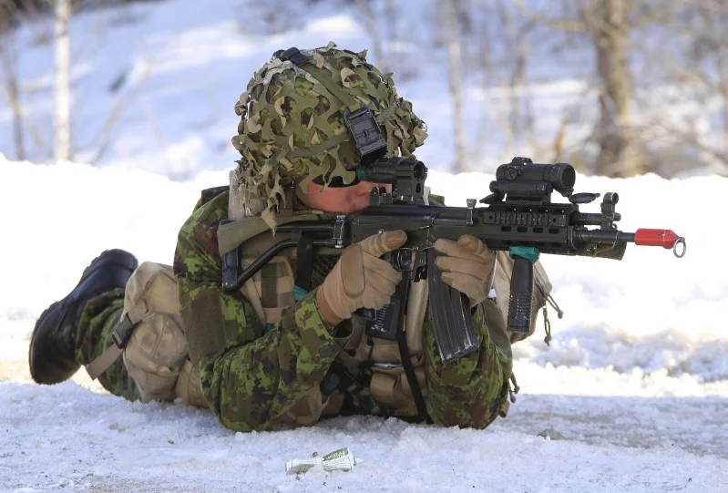 Estonian-Soldiers.webp