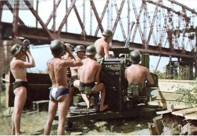 GERMAN AAA UNIT.webp