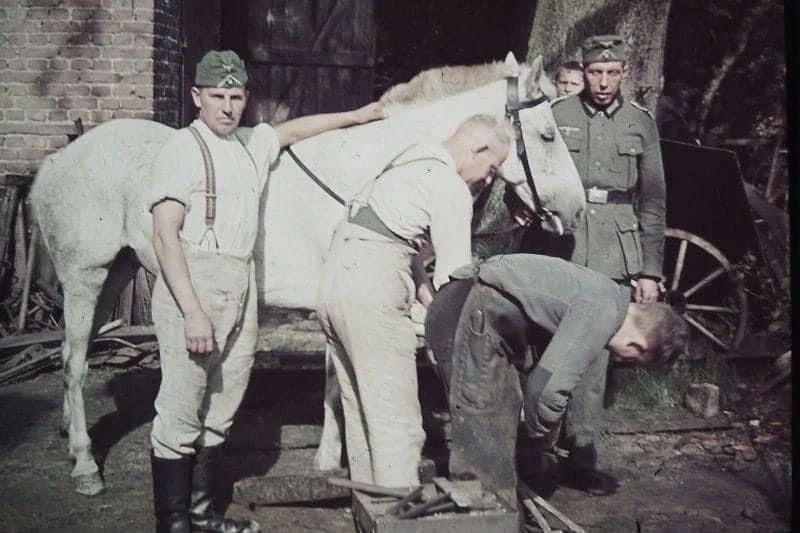 German Infantry Regiment (Infanterie-Regiment 660) 1940.webp