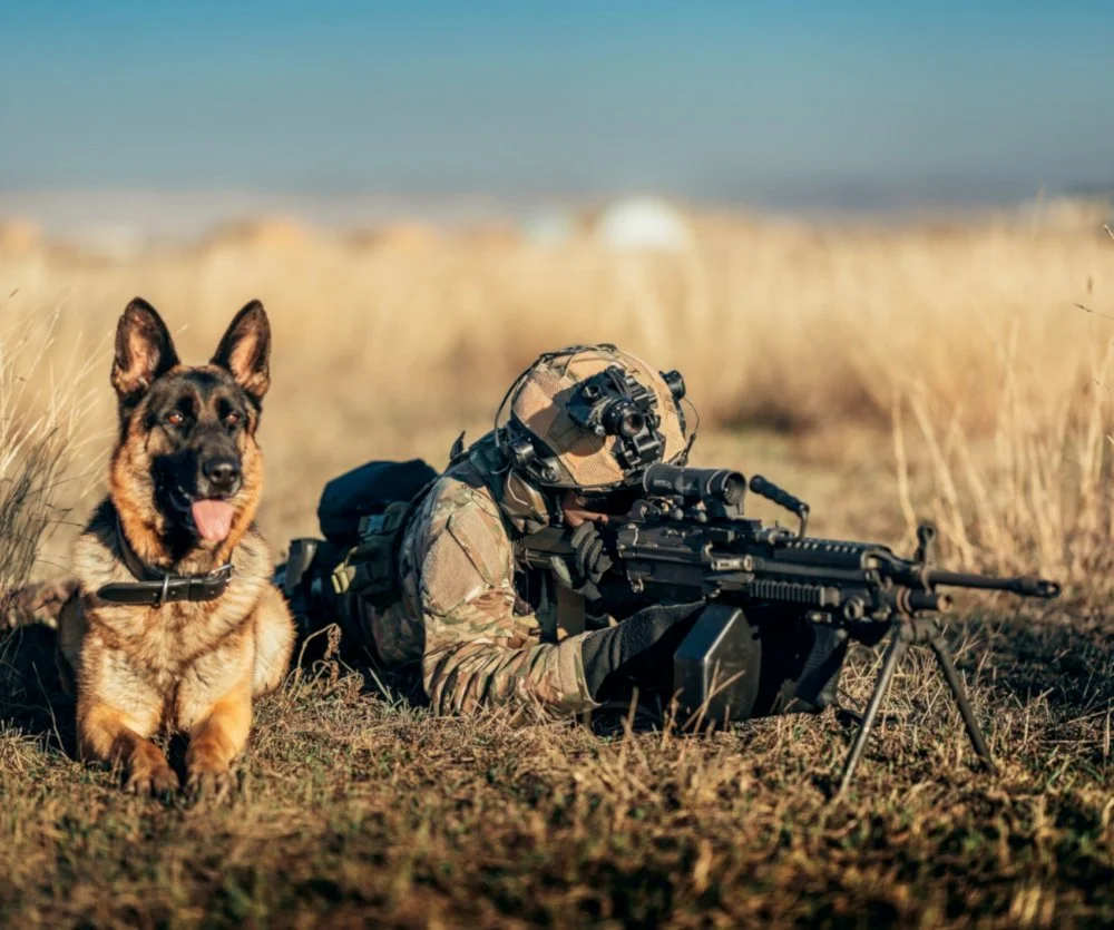 Photos - Pictures of Dogs in the Military & Police (K9) | Page 53 | A ...