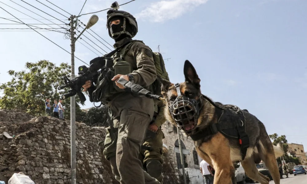 i-soldiers-set-dog-on-unarmed-Palestinian-1200x720.webp