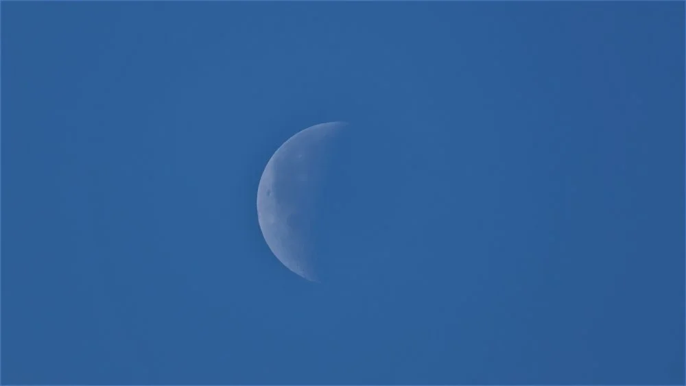 IMG_1806Daymoon.jpg