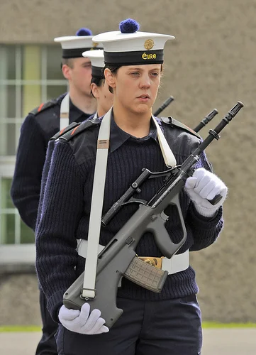 Ireland Navy1.webp