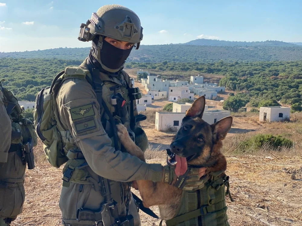 ISRAEL-IDF-K9-A1.webp