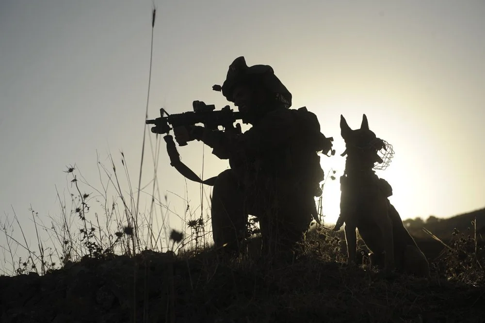 Israel-K-9.webp