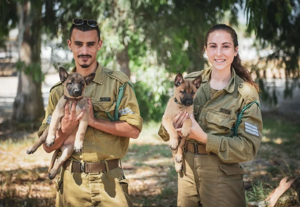 Israel-K9-IDFA003.webp