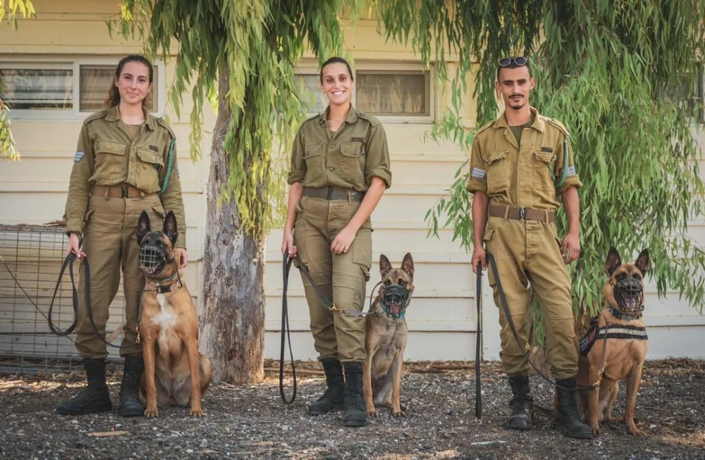 Israel-K9-IDFA004.webp