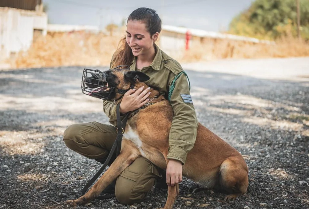 Israel-K9-IDFA005.webp