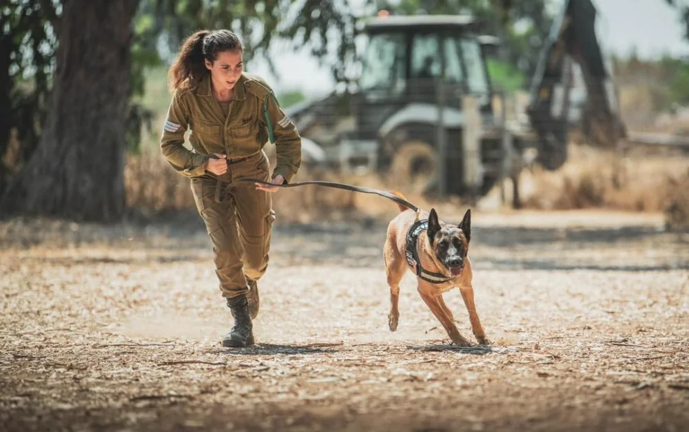 Israel-K9-IDFA007.webp