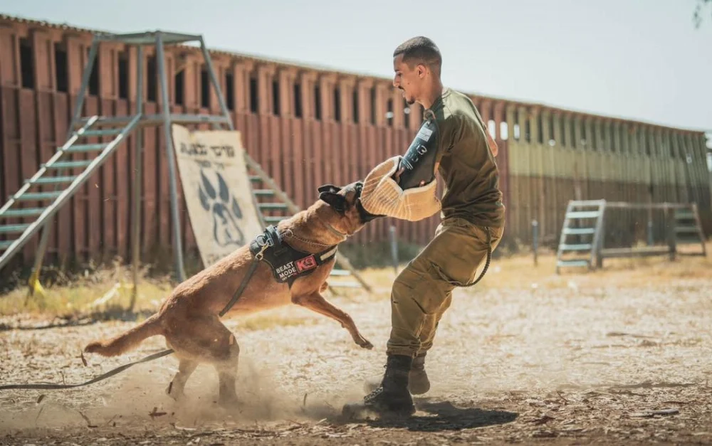 Israel-K9-IDFA009.webp