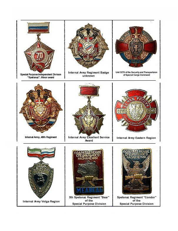 MIA Interior Troops Badges 1.jpg