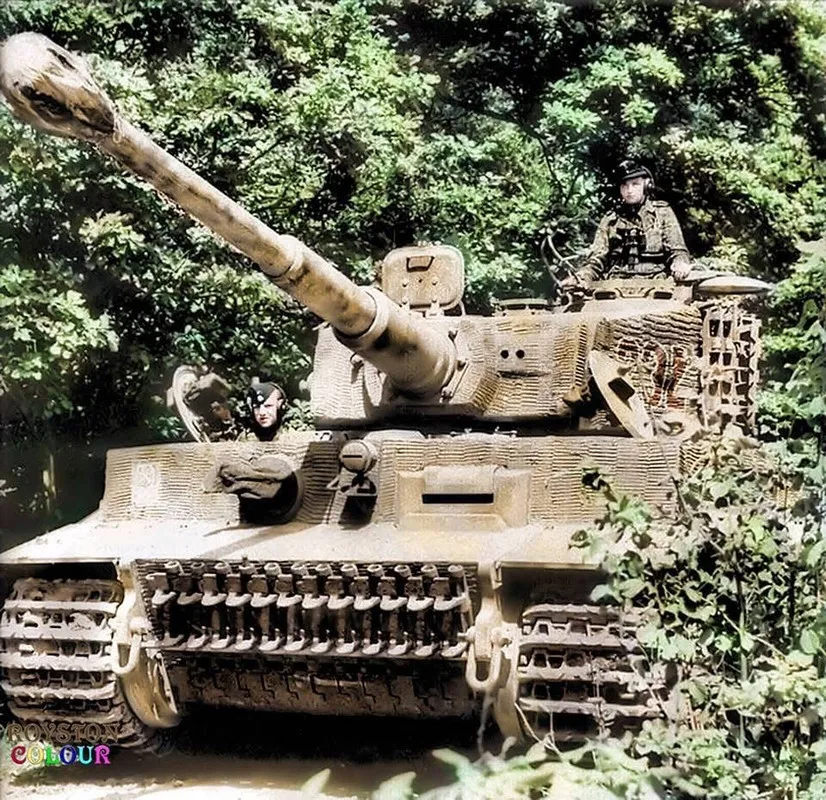 -move-or-dug-in-and-waiting-in-the-Normandy-1944-5.webp
